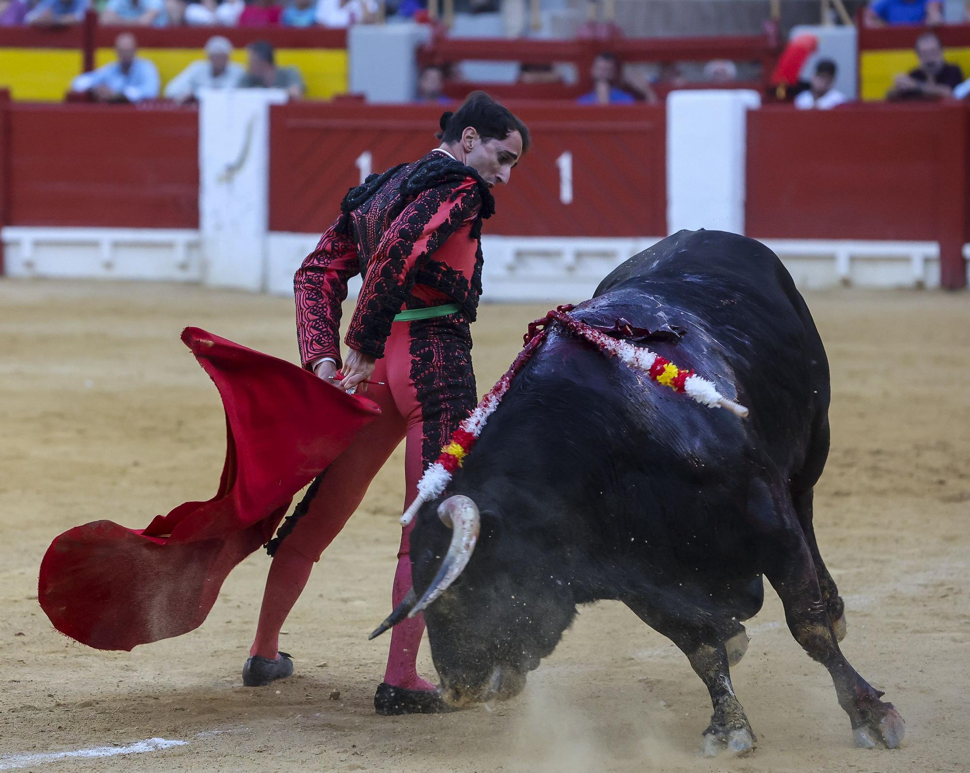 Novillada de Zacarías Moreno para cerrar la Feria de Hogueras