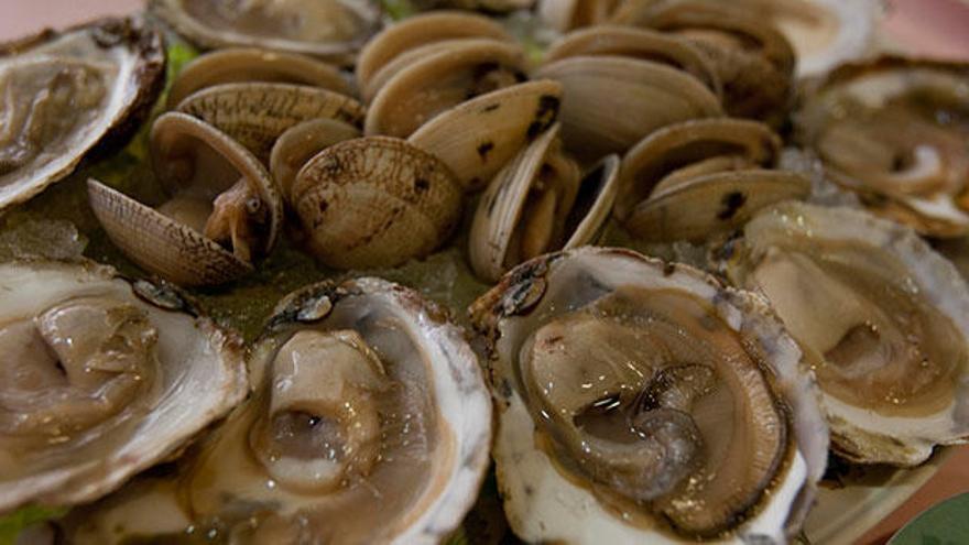 La Feria Gallega del Marisco llega a Alicante