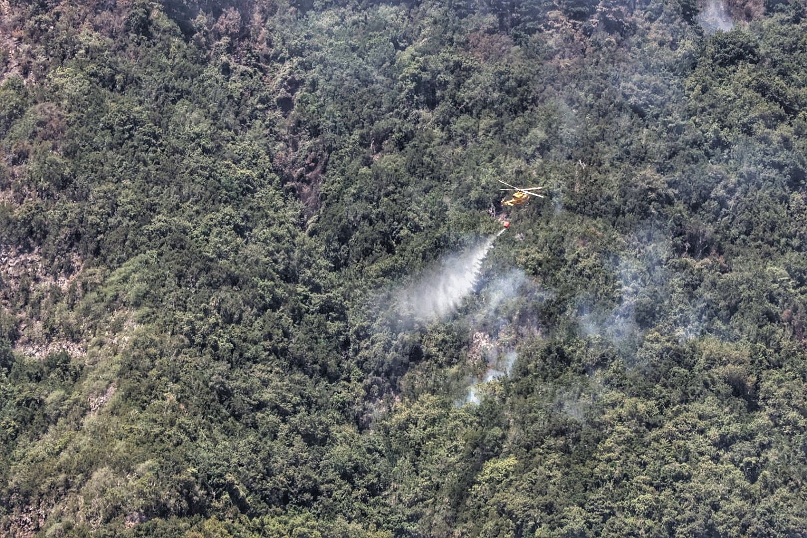 Siguen las tareas de extinción del incendio de Tenerife