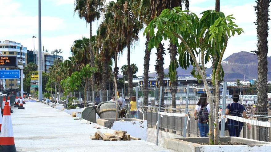 El paseo de Las Alcaravaneras recupera sus árboles