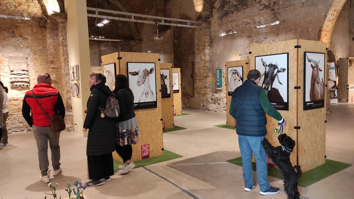 La Casa de la Monta acoge este fin de semana en Aranjuez una nueva parada del roadshow Bestiarium.