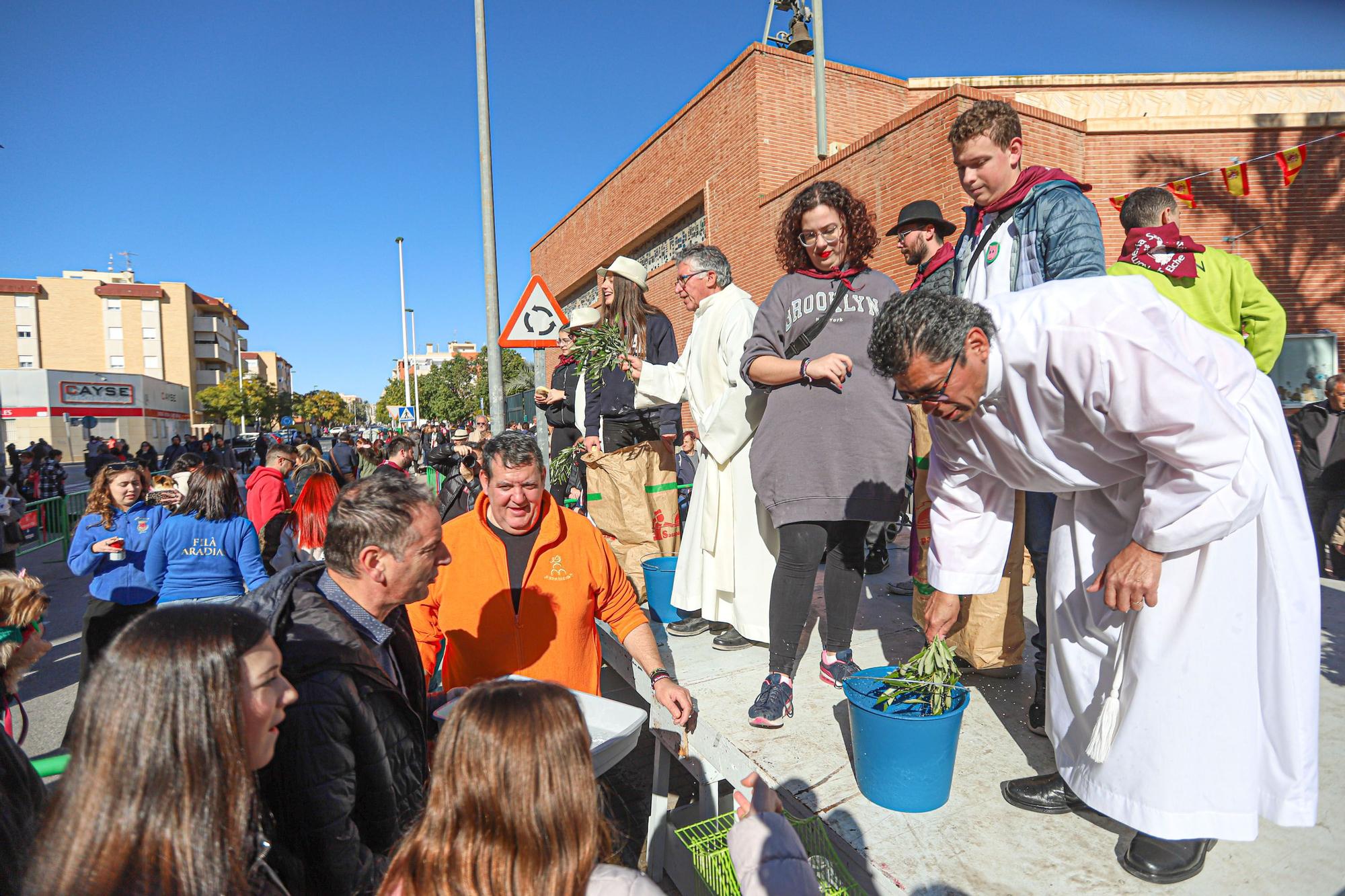 Romería y Bendición de animales en San Antón de Elche