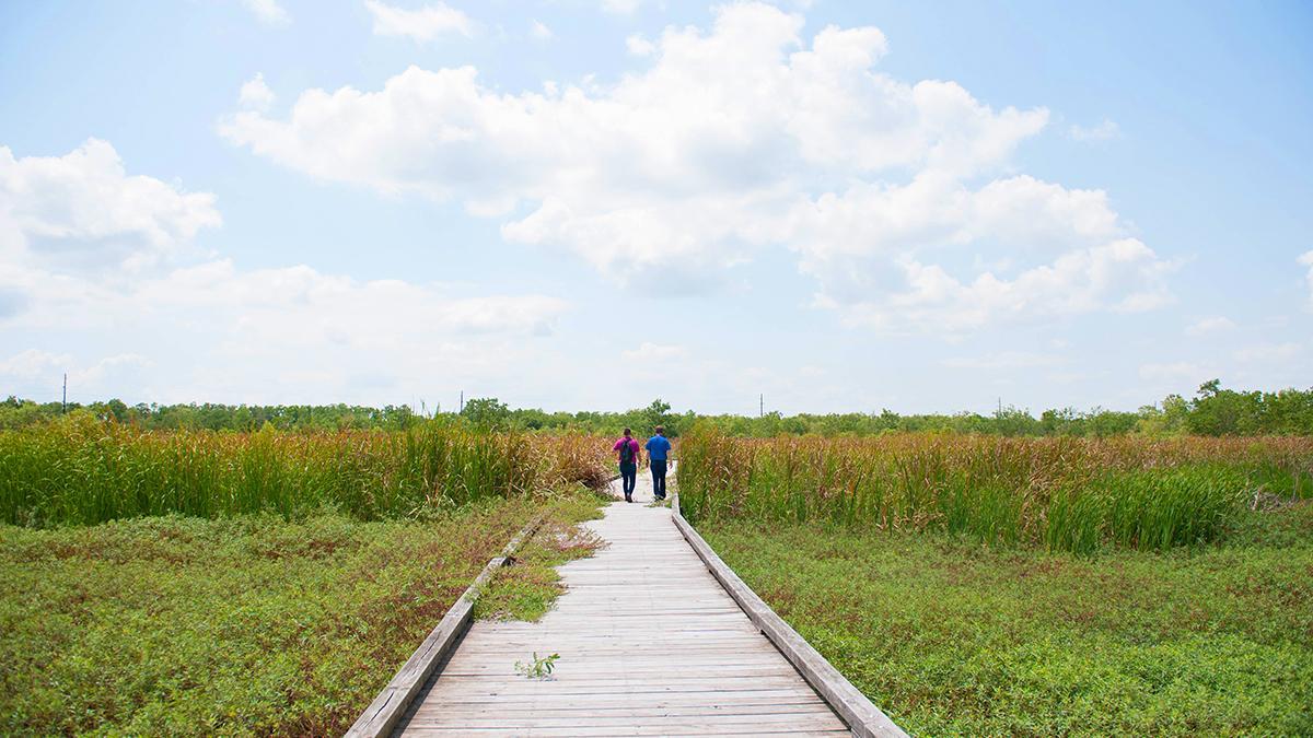 La Creole Nature Trail atraviesa marismas y refugios naturales donde la observación de aves es parte del viaje.