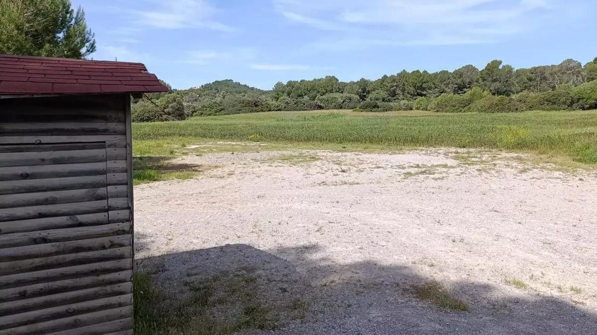 Erkennen Sie ihn noch? Auf dem alten Parkplatz werden mittlerweile Saubohnen angebaut.