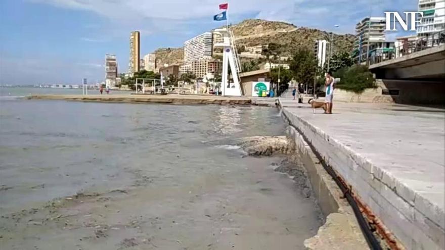 La lluvia causa estragos en la playa de la Albufereta