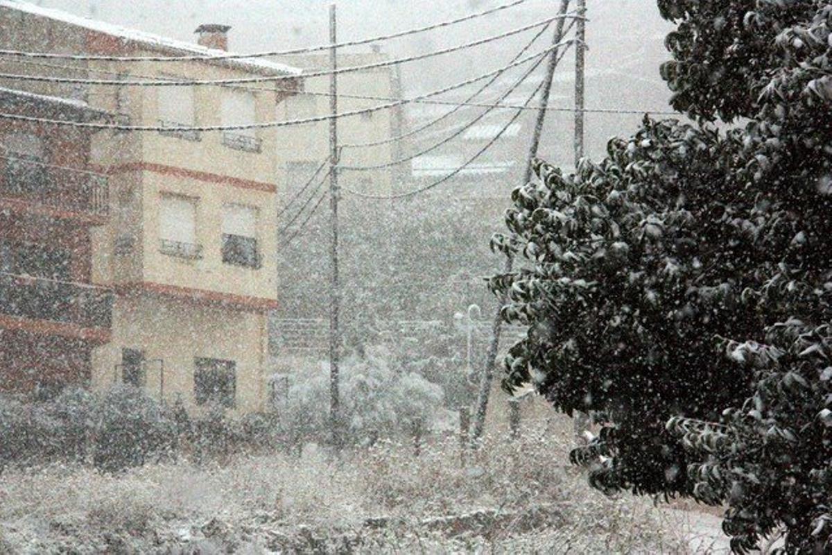 Moment de la nevada a Horta de Sant Joan aquest dissabte al matí.