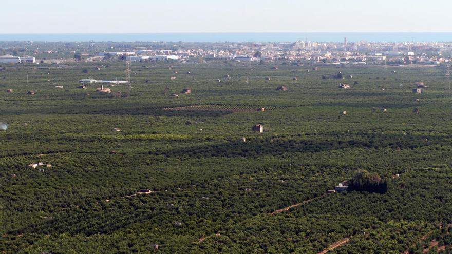 Campos de cítricos valencianos.