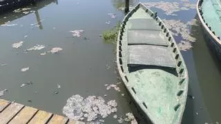 Acció Ecologista-Agró denuncia el grave deterioro de l’Albufera por vertidos de aguas residuales al Port de Catarroja tras la dana