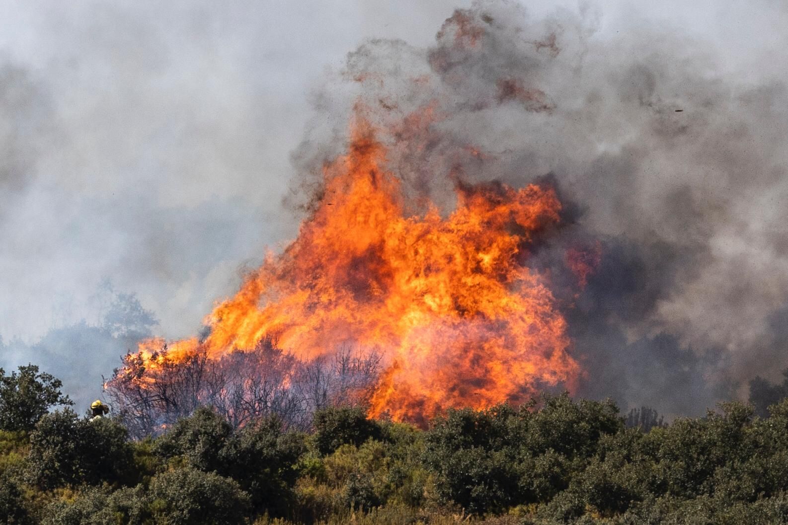 Desoladoras imágenes del incendio de Bejís