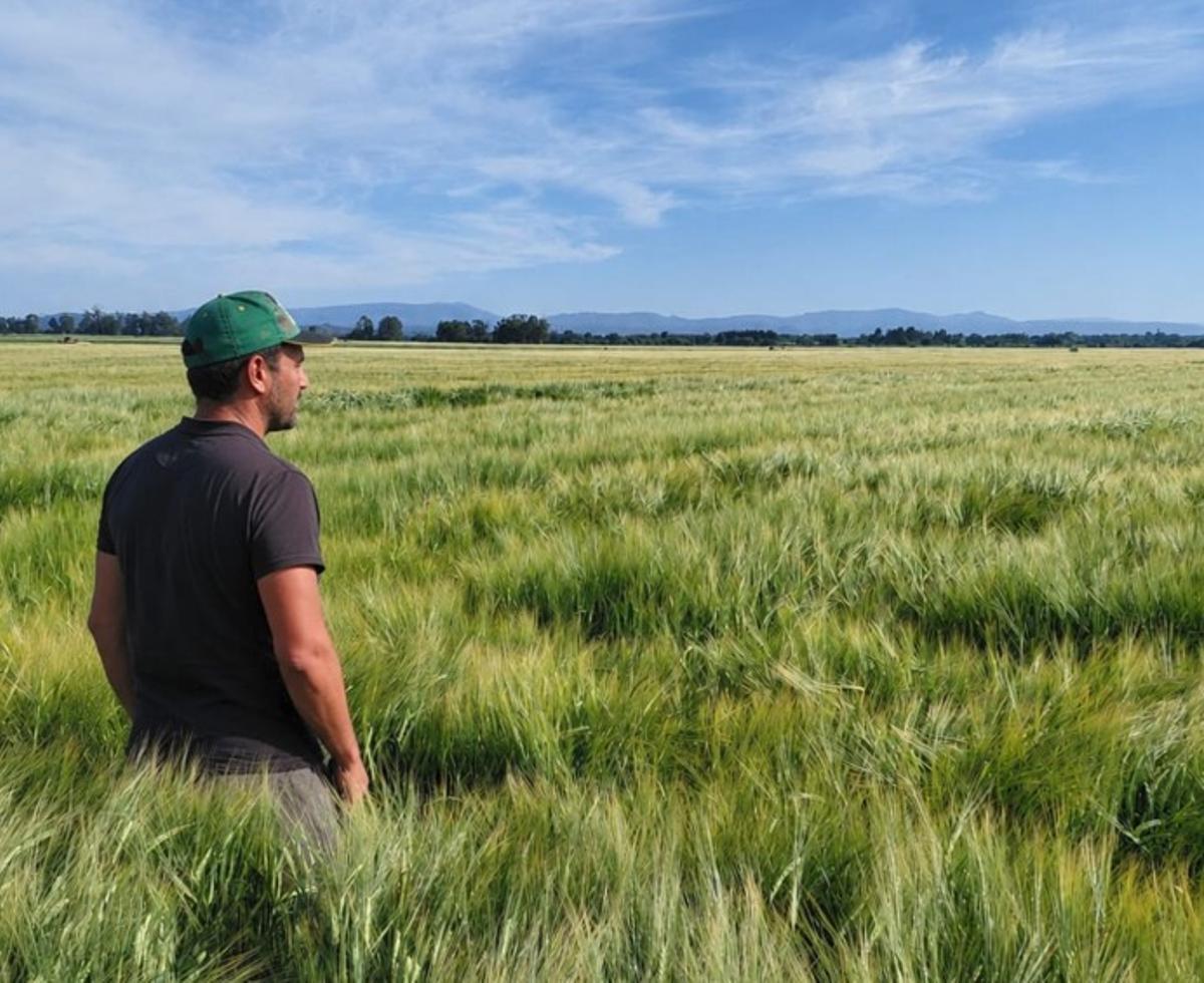 El proyecto de Cosecha de Galicia suma ya 27 agricultores locales