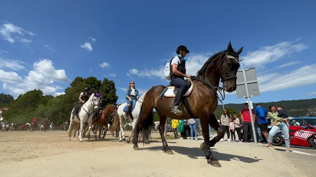 Más de 200 jinetes en la Xuntaza Cabalar de Moaña