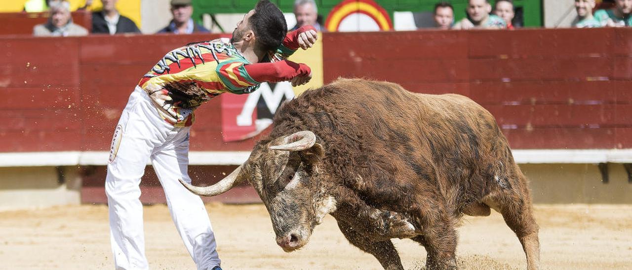 Concurso nacional de recortadores en fallas