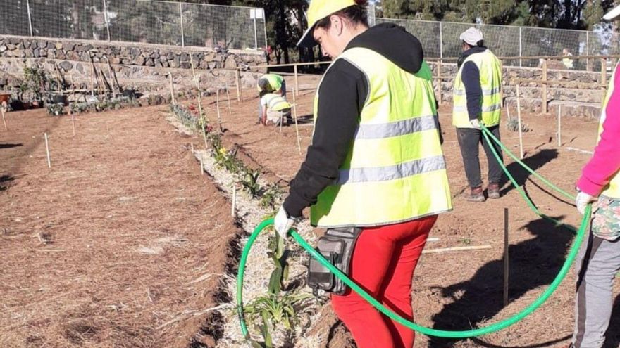 Experience Culinary Delights at La Marzagana’s ‘Edible Park’ Event!