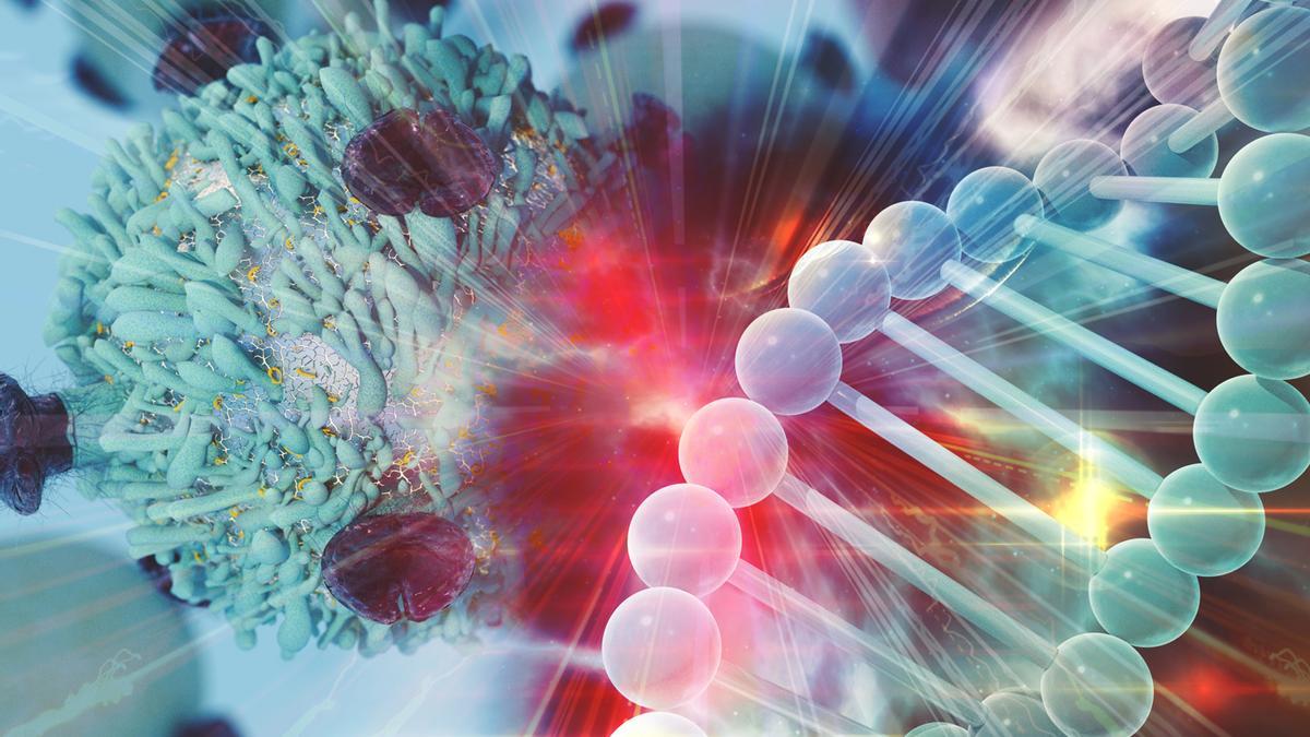 Immunooncologia, una dècada avançant en la lluita contra el càncer