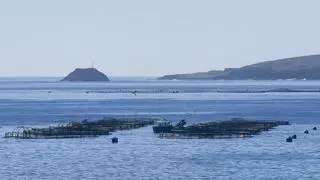 Canarias rebaja a prealerta la situación por contaminación marina en la costa de Telde