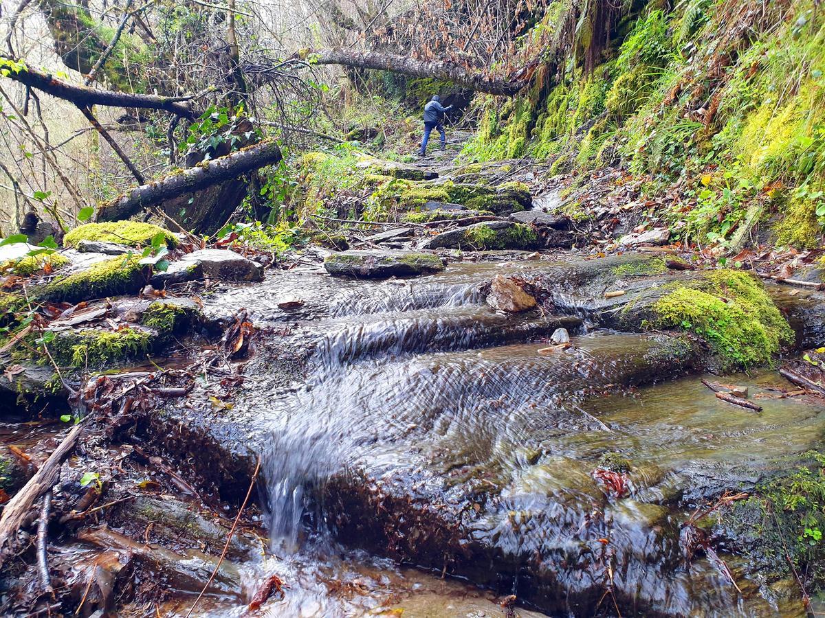 Seoane do Courel (Folgoso do Courel, Lugo). Sierra de Caurel (O Courel), con bosques (montes) de árboles. Y ruta circular del Río Pequeno