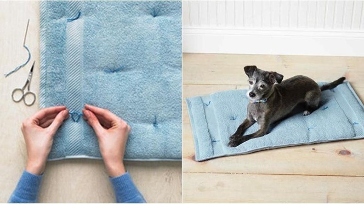 Una cama para mascotas hecha con una toalla vieja