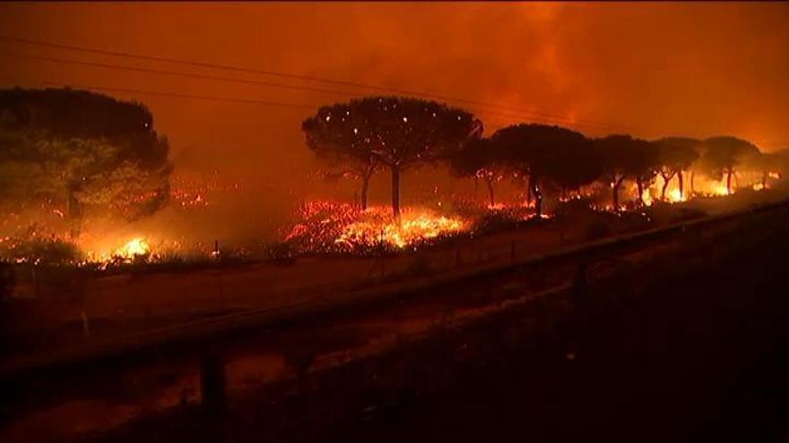 El incendio de Moguer alcanza el Espacio Natural de Doñana