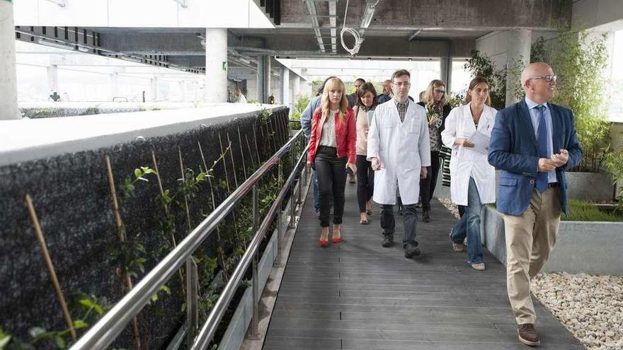 Representantes políticos y médicos, ayer, en la azotea del nuevo edificio del CHUO. // Brais Lorenzo