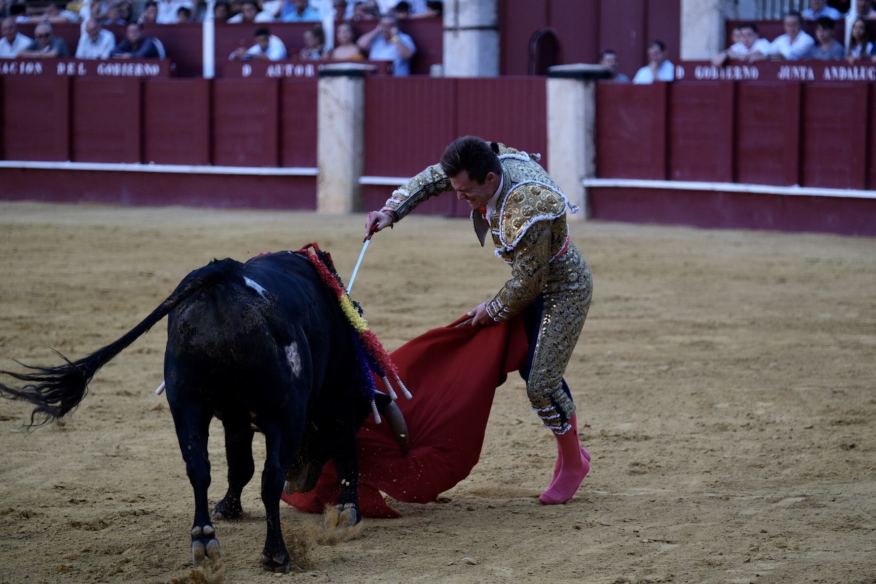 XV edición del Certamen Internacional de Escuelas Taurinas