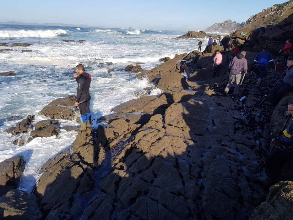 Los percebeiros, esta mañana en A Costa da Vela