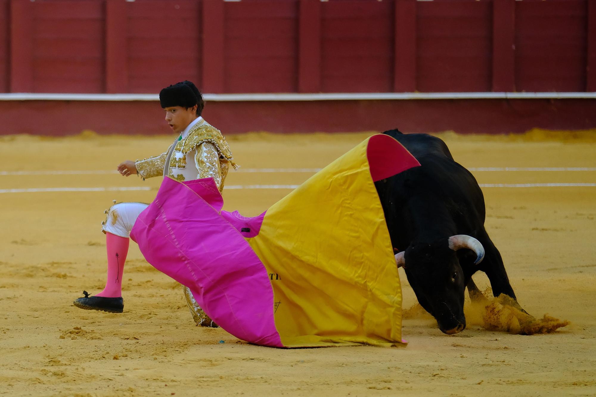 Toros en la Feria I Séptima corrida de abono en la Malagueta