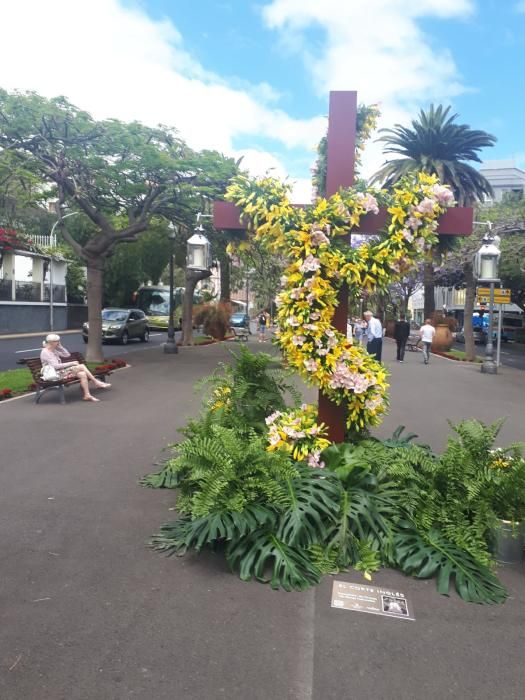 Concurso de Cruces de Flores Naturales