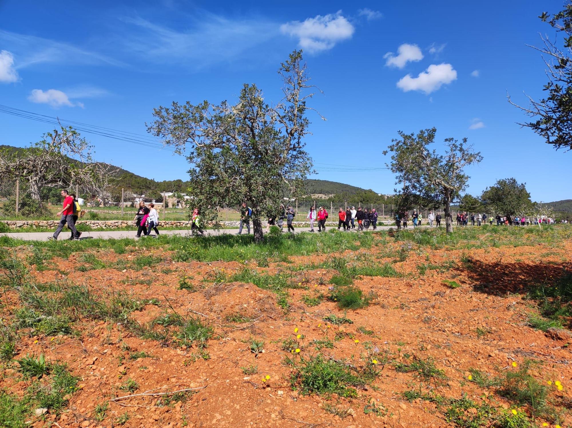 Reivindicación de los caminos públicos de Ibiza