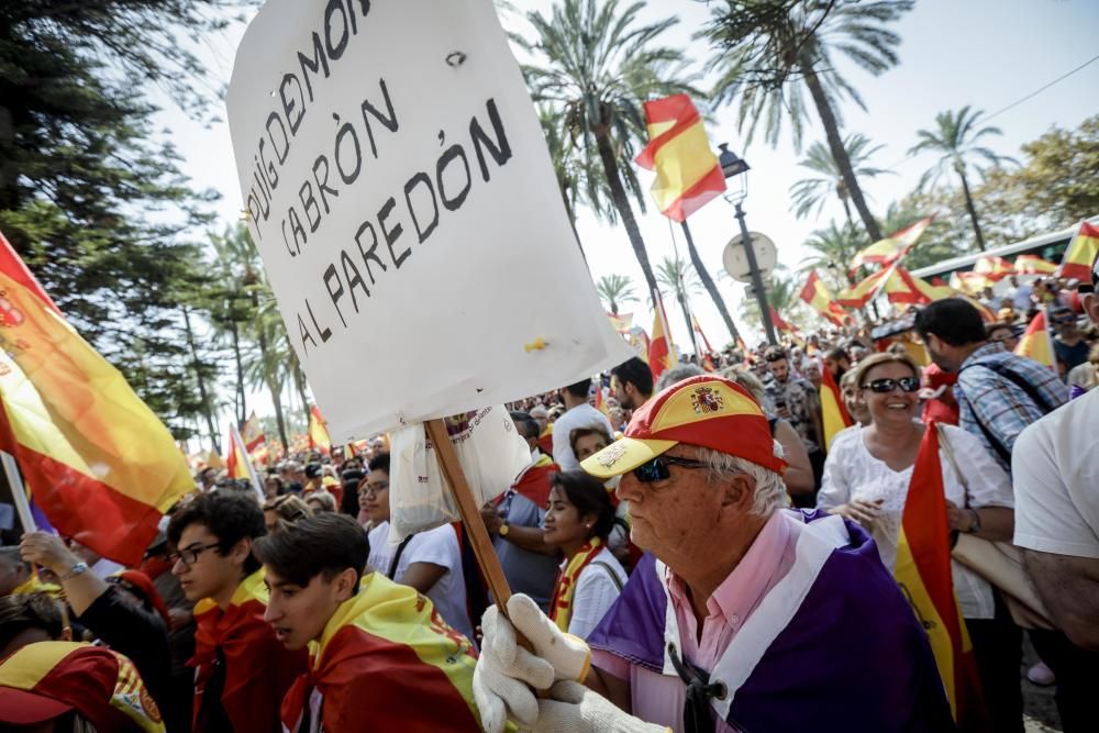 Accidentada manifestación por la