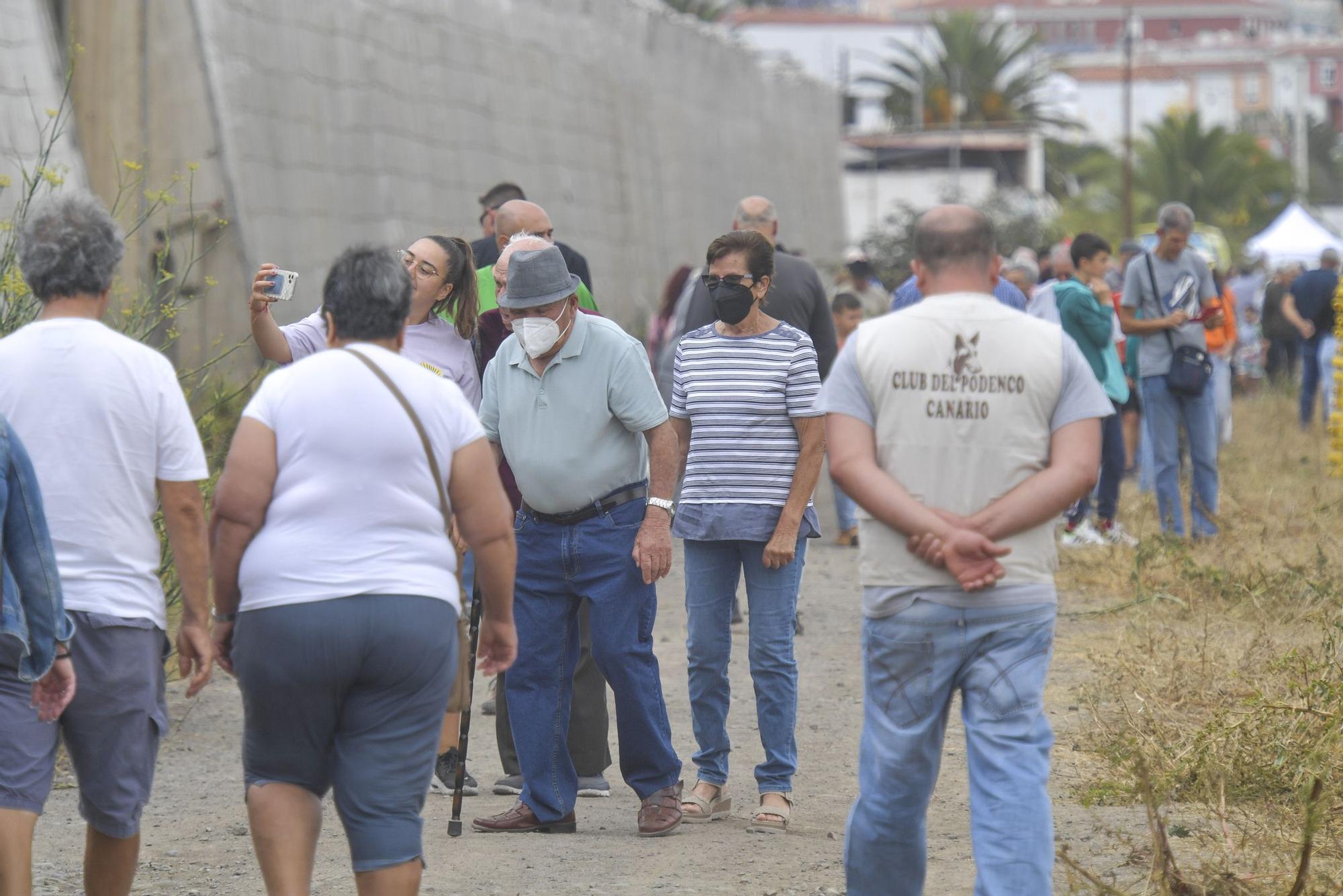 Feria de Ganado en Arucas