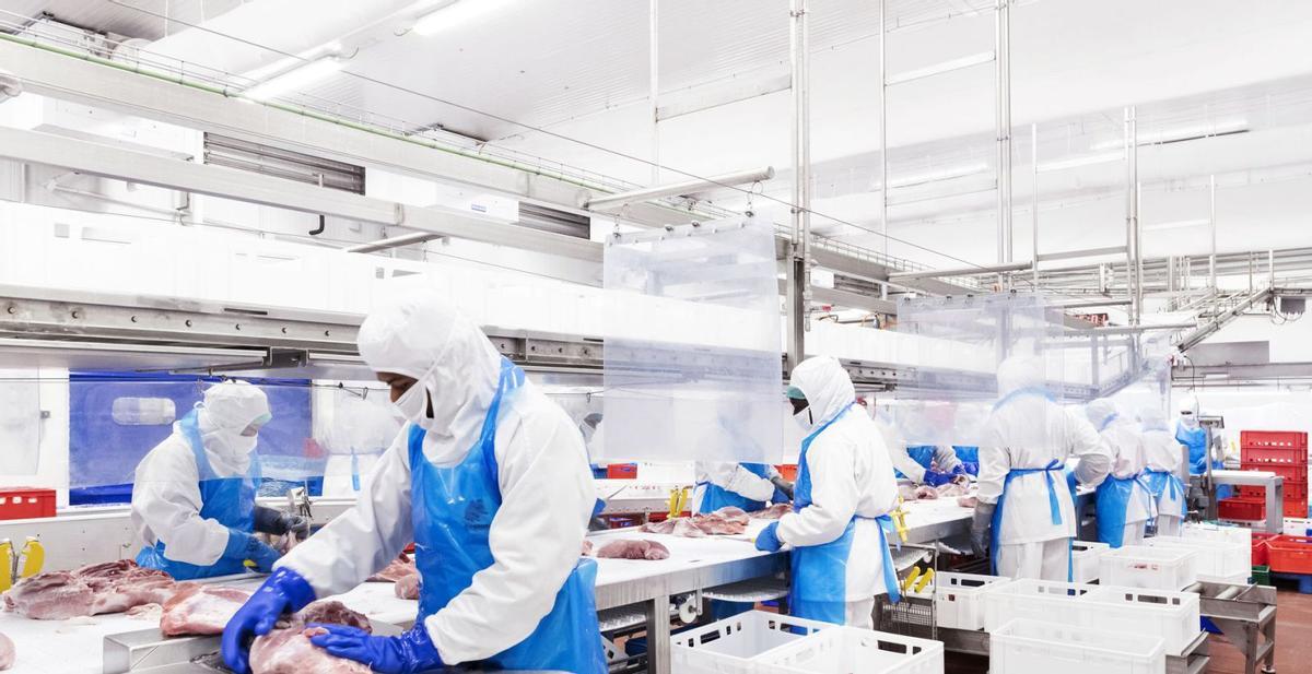 La sala de despiece de cerdos que el Grupo Jorge tiene en sus instalaciones de Zuera.