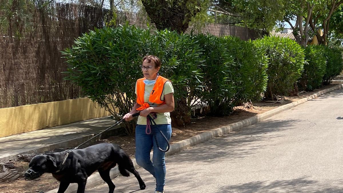 Una voluntaria pasea un perro acogido en el centro de protección animal de Son Reus.