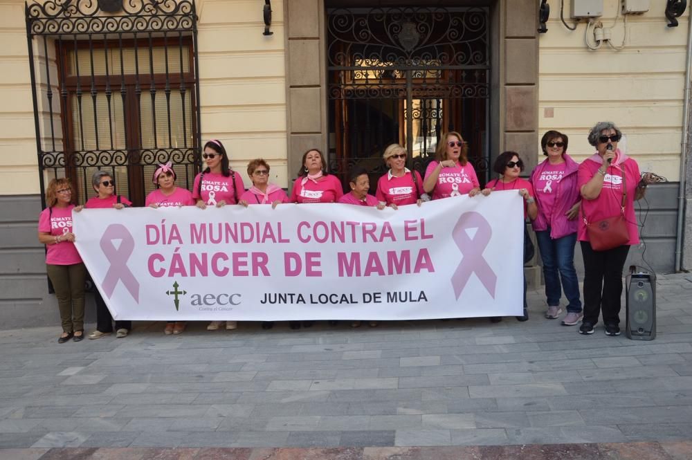 Marcha en Mula contra el cáncer de mama