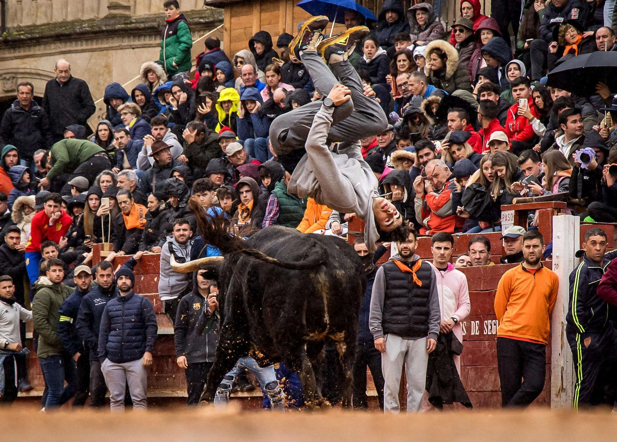 GALERÍA: El martes de Carnaval del Toro en Ciudad Rodrigo se salda con siete intervenciones sanitarias