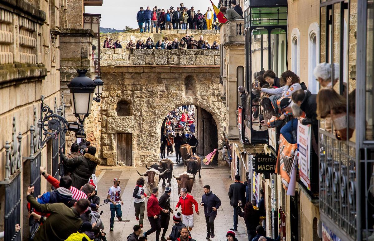 GALERÍA: El martes de Carnaval del Toro en Ciudad Rodrigo se salda con siete intervenciones sanitarias GALERÍA: El martes de Carnaval del Toro en Ciudad Rodrigo se salda con siete intervenciones sanitarias