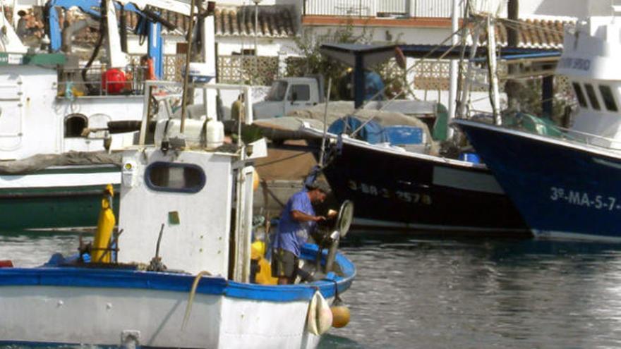 Barcos en Caleta de Vélez.