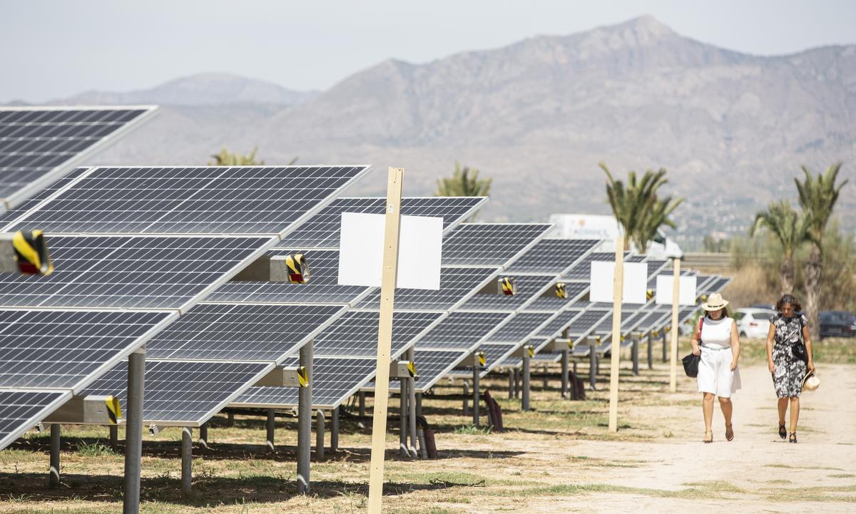 Planta solar en el sur de Alicante.