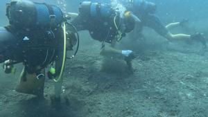 Tres buceadores de Vanasdive rebuscan basura en el fondo del mar esta mañana durante la acción de limpieza subacuática organizada por las 52 Super Series.