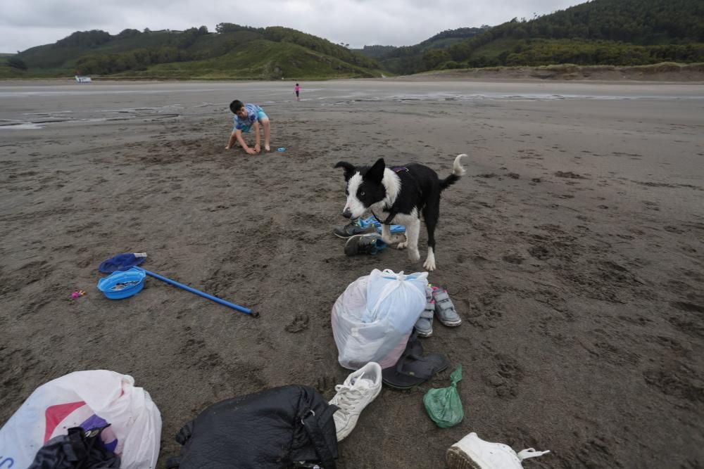 Los perros pueden acceder al playón de Bayas