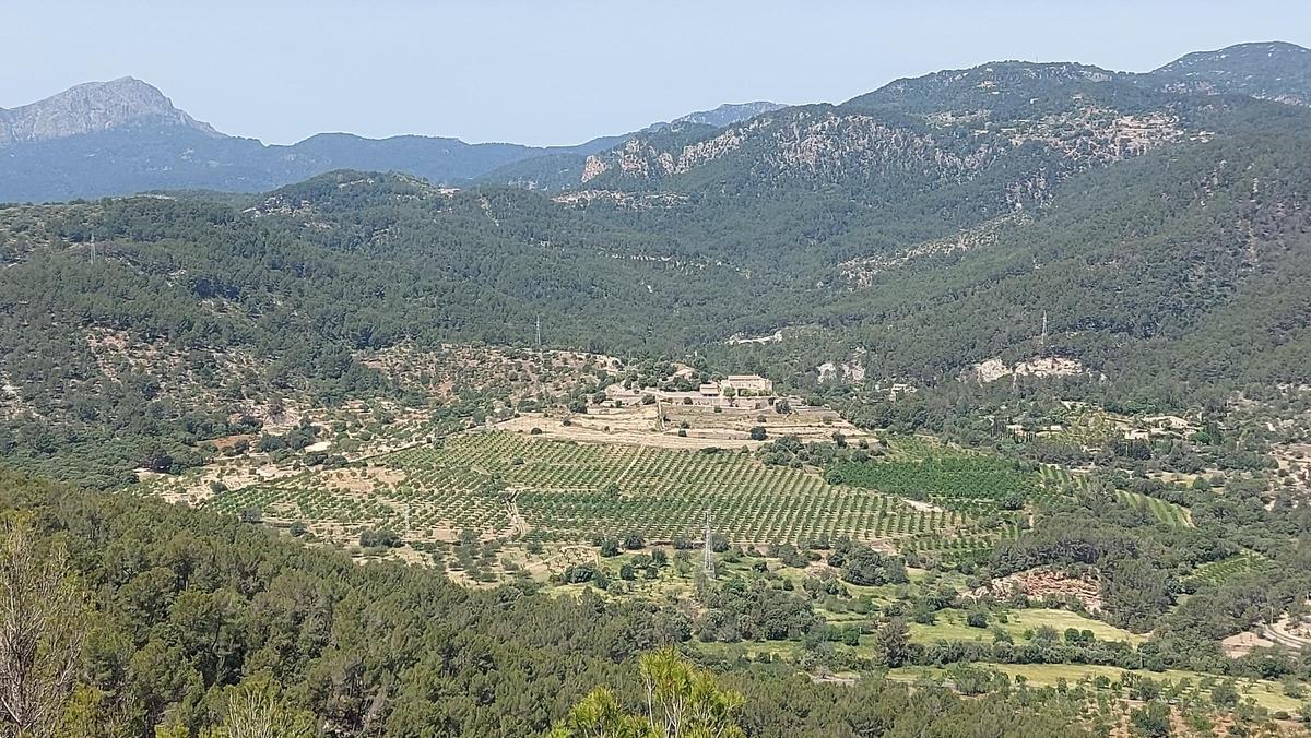 Blick auf das Tal des Torrent de la Riera.