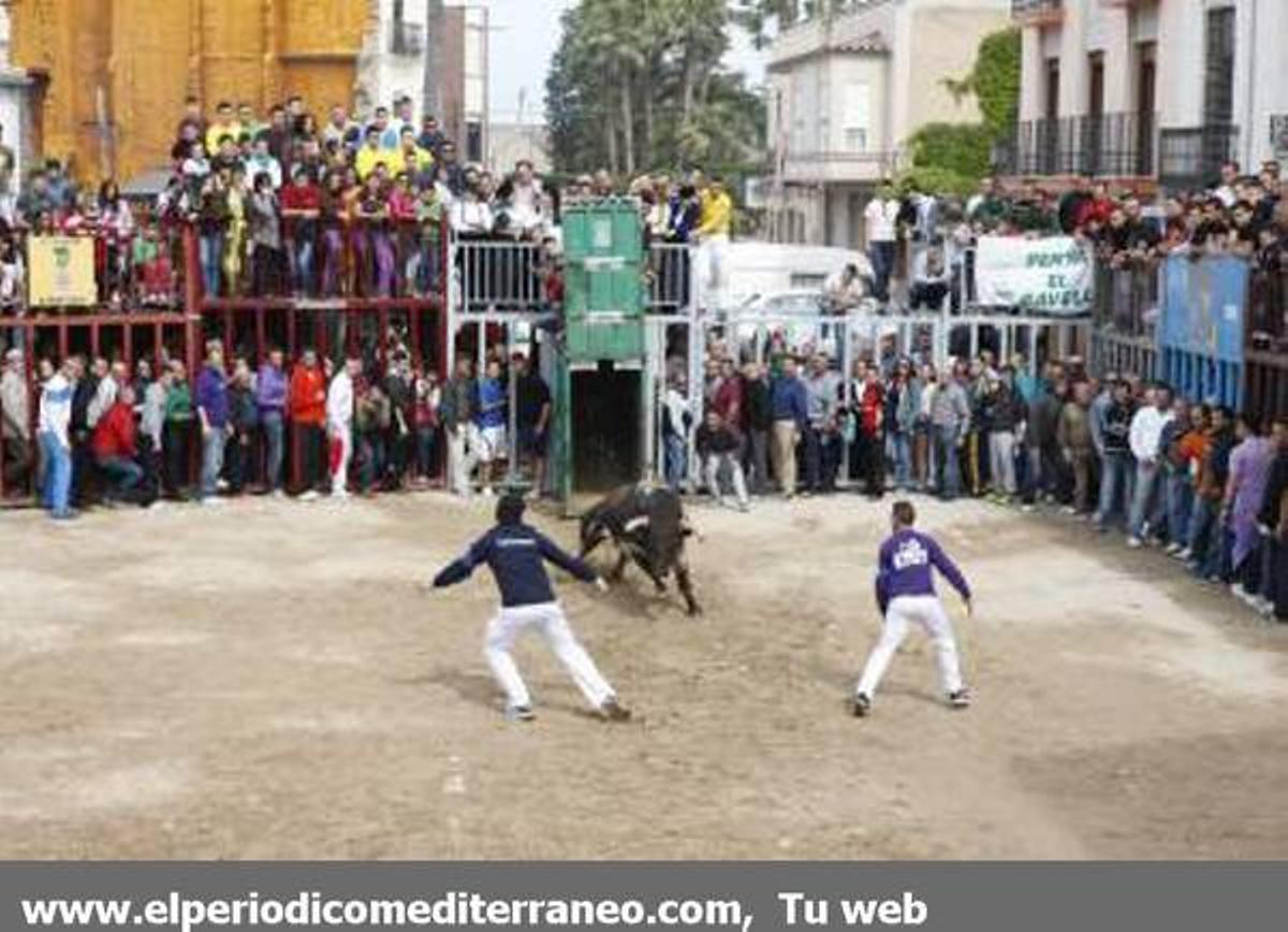 GALERÍA DE FOTOS - Almassora continua con su semana taurina