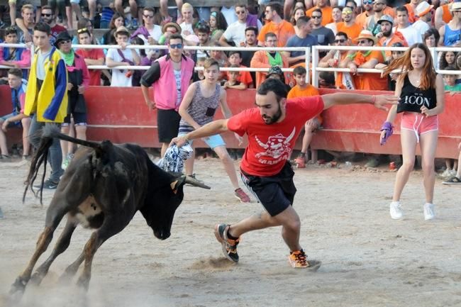 Les vaquetes de la festa major de Santpedor