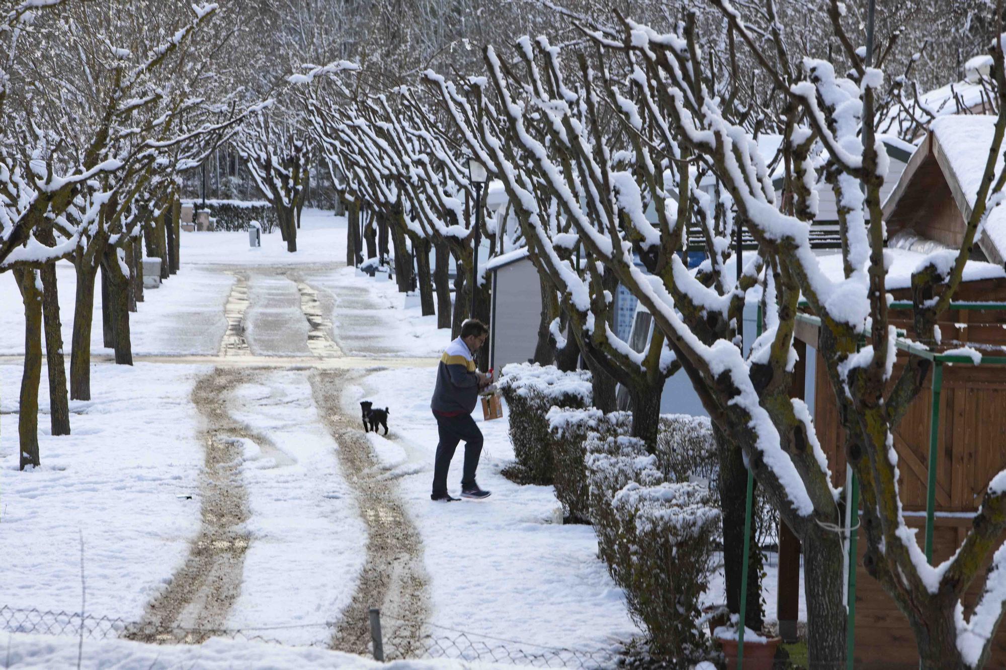 Espectacular nevada en la víspera de Sant Josep en Bocairent