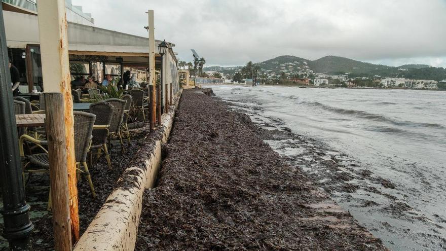 Desaparece una de las playas más conocidas de Ibiza tras el temporal: "El nivel del mar sube y cada año se complica más"