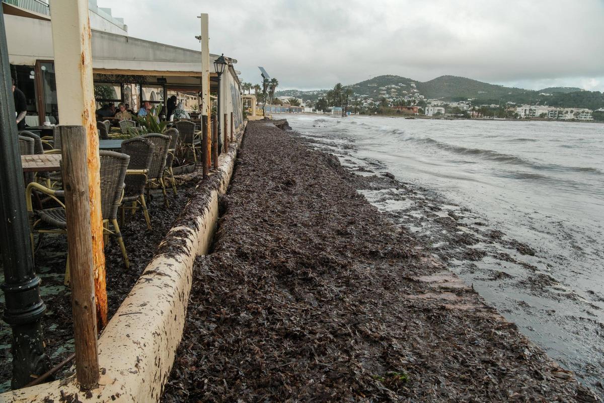 Las imágenes de Talamanca tras el paso de la borrasca 'Harry' por Ibiza