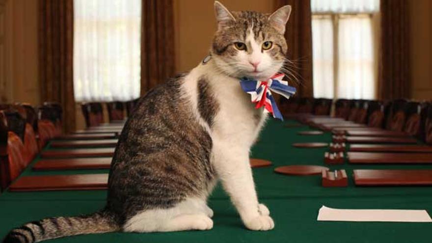 Larry, el gato del 10 de Downing Street, que ha ayudado en la caída de Boris Johnson
