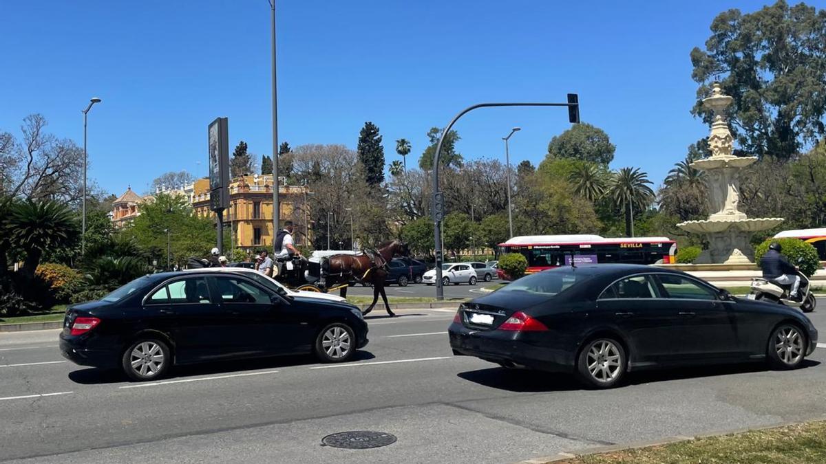 Imagen de archivo de coches pasando por el Prado de San Sebastián.