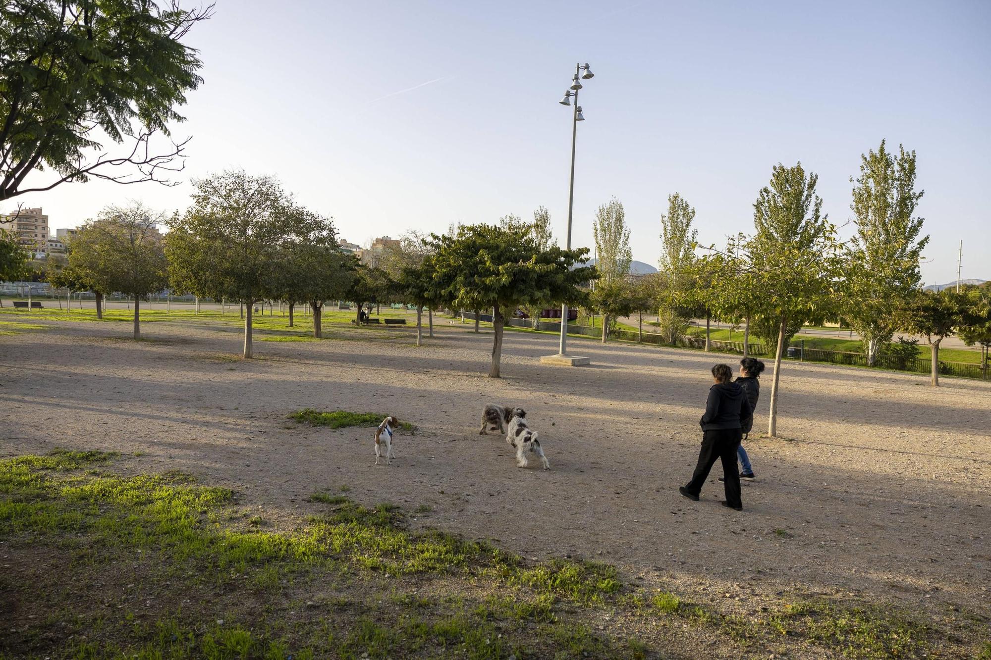 Los parques caninos de Sa Riera, Joan Coll y Krekovic, en imágenes.