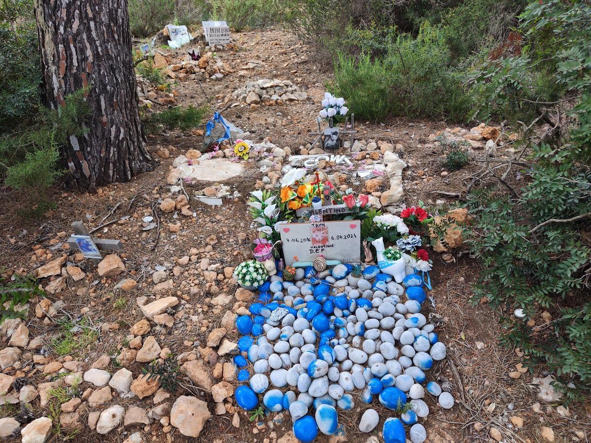 Tumbas en el cementerio ilegal de perros y gatos de sa Caleta