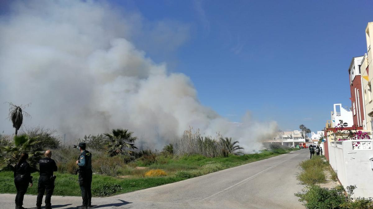 Imagen del incendio en la laguna de Torrevieja junto a la urbanización lagosal